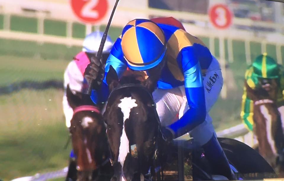 Music Magnate takes out the Group 1 Doomben 10,000
