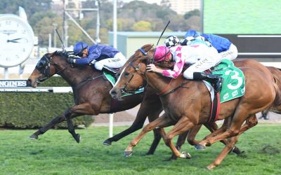 Group 2 win for Lindsay Park Racing